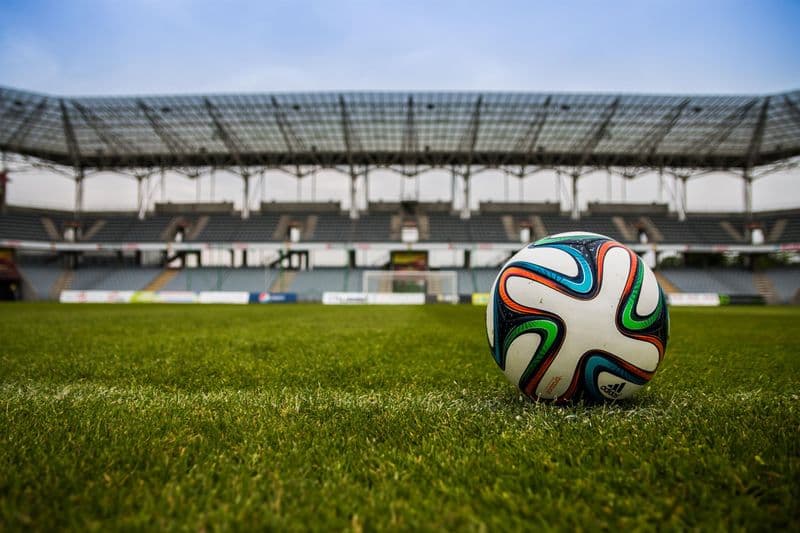FIFA Edition Footballs